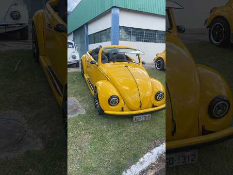 12 Encontro de Carros Antigos de Terra Boa - PR