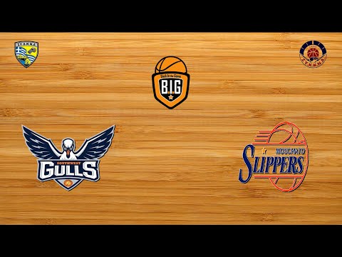 Southwest Gulls 43 - 46 Moschato Slippers | Προημιτελικός BIG League 1