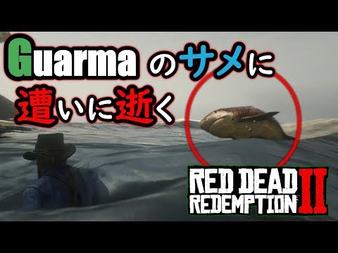 【RDR2】グアーマの隠し生物『サメ』に遭いに逝く。...『Red Dead Redemption 2(レッド・デッド・リデンプション2)』オープンワールドゲーム実況#8 Video