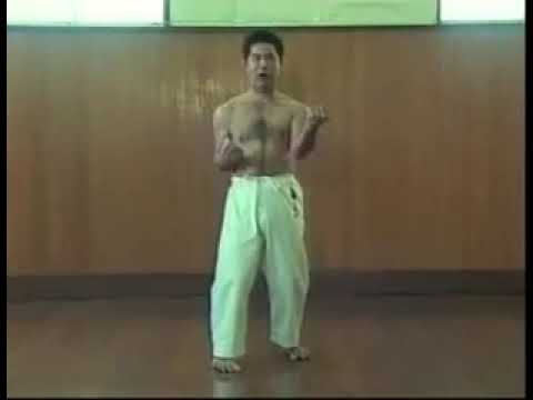 GOJU RYU SANCHIN KATA by MORIO HIGAONNA