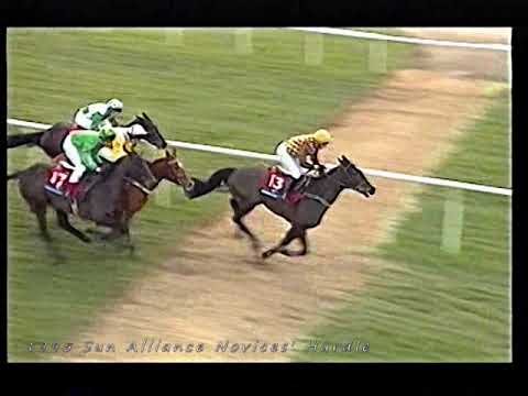 1995 Sun Alliance Hurdle Putty Road