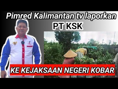 KALIMANTAN TV LAPORKAN PT. KSK KE KEJAKSAAN