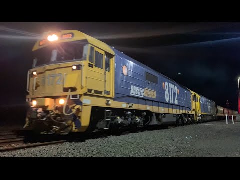 7731V Pacific National Grain train with 8172 and BL33 departing Gheringhap loop 20/5/2025