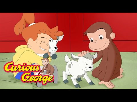 Learning About Animals with George ???? Curious George ???? Kids Cartoon ???? Kids Movies