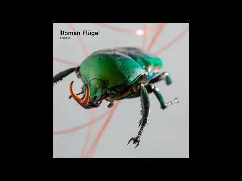 Fabric 95 - Roman Flügel (2017) Full Mix Album