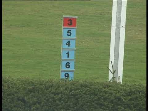 KO, 2. 11. 2019, 3. dostih - Cena dostihové stáje Statek Blata Český ráj