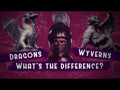What's The Difference Between A Dragon And A Wyvern?
