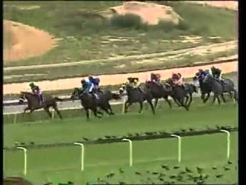 Bulsara - 3rd win - Racing Association