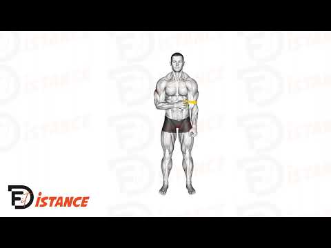 Exercice Rotations externes à l'élastique (échauffement de l'infra-épineux)