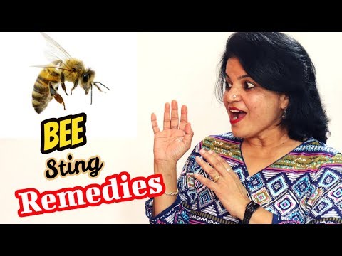 , title : 'Home Remedies To Treat a Bee Sting | ततैया , मधुमक्खी ,बर आदि काटने पर घरेलू उपचार'