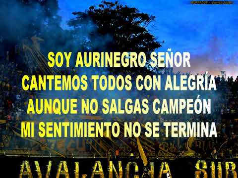 "Soy aurinegro señor" Barra: Avalancha Sur • Club: Deportivo Táchira