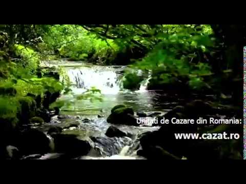 Cazare Bradu, Arges - Cazat.ro