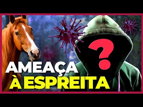 O VÍRUS DESCONHECIDO que ainda PREOCUPA CIENTISTAS | Vírus Hendra
