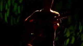 raine maida yellow brick road