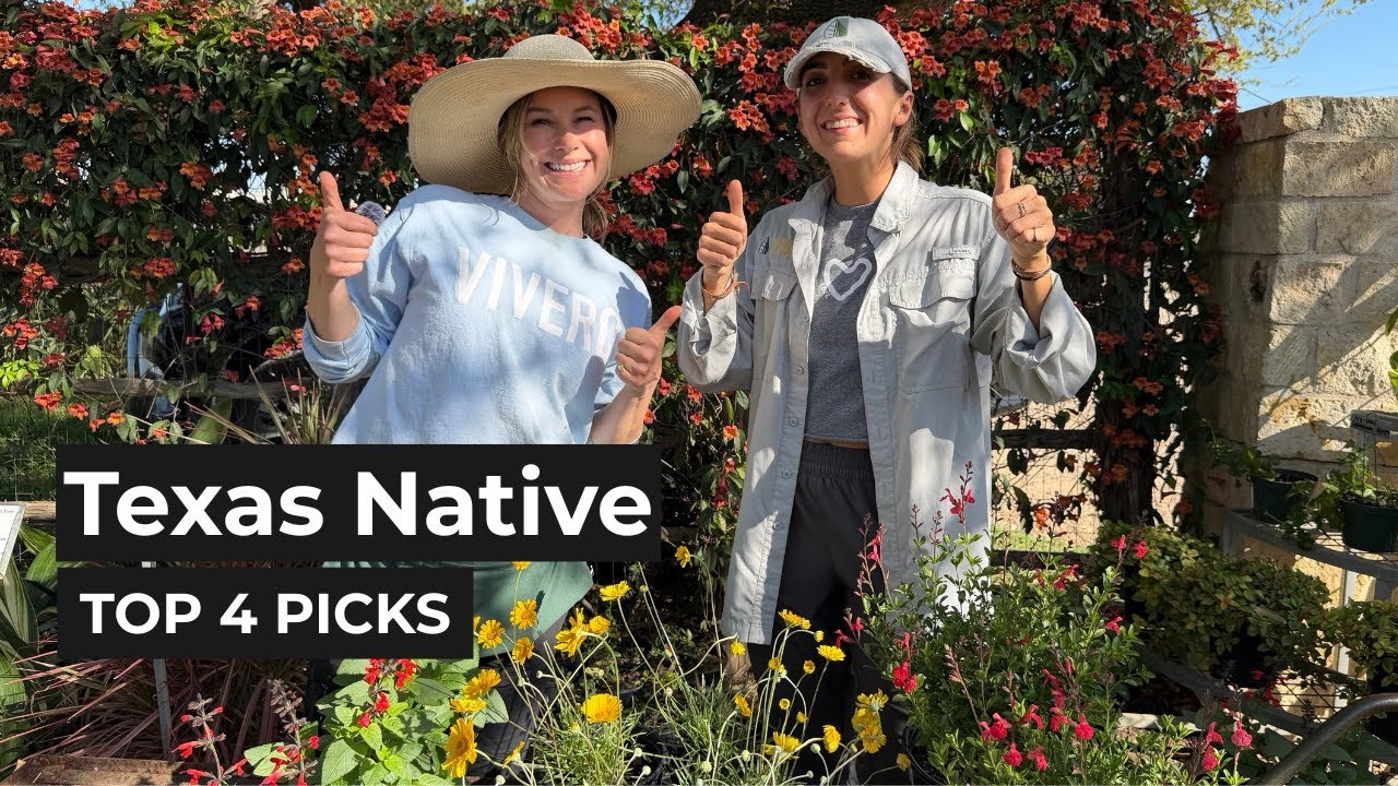 Top Texas native plants at Vivero Growers Nursery
