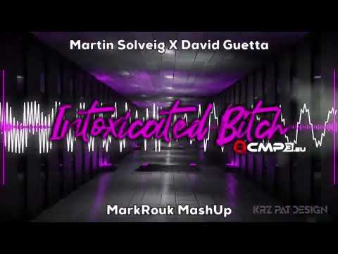 Martin Solveig X David Guetta - Intoxicated Bitch (MarkRouk MashUp)
