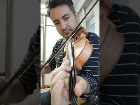 Vurgun (keman)🎻