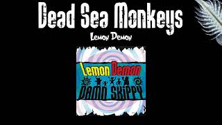 Lemon Demon - Dead Sea Monkeys Karaoke