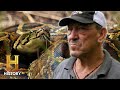 Master Snake Hunter Gets His Kill Swamp People Serpent Invasion Season 4