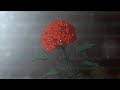 Travis Scott 90210 Sped Up