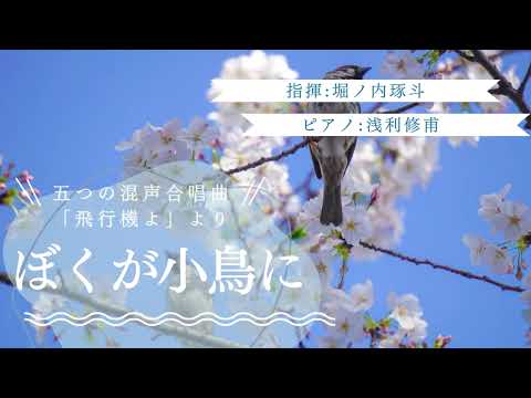 ぼくが小鳥に / 東京学芸大学混声合唱団
