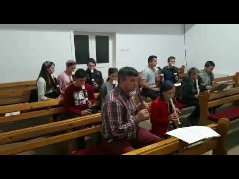 Corul de Copii PADURENI - dirijor Petrica Moisuc // TEMELIE PE VECI - HOW FIRM A FOUNDATION