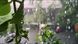 Download lagu STORY WA KEREN || lagu Hujan kemaren || Cover Gitar akustik ||mentahan story hujan keren mp3