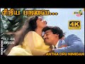 சிறிய பறவை சிறகை விரிக்க துடிக்கிறதே