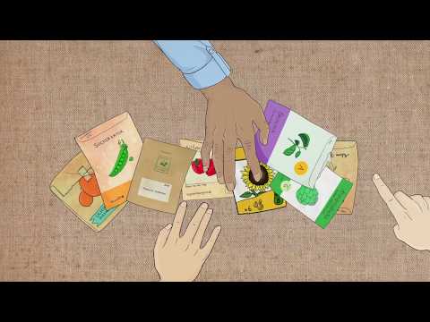 Fröbytardagen 2018 em Botaniska