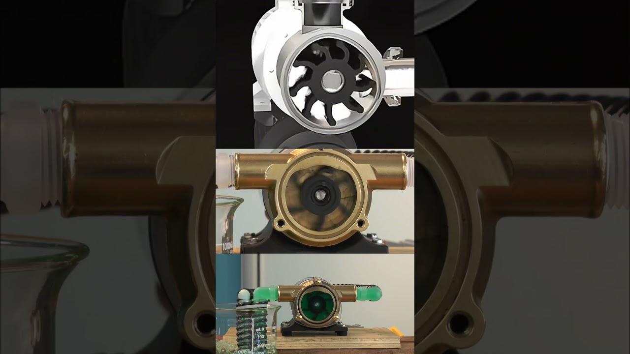 Working principle of flexible impeller pump #pump #vane pump #water pump #pump knowledge