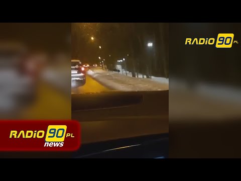 🐗🐗🐗Dziki na trasie Rydułtowy Rybnik #radio90