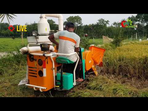 কম্বাইন হার্ভেস্টর- ধান কাটা,মাড়াই,বস্তাবন্দি একসাথে- combine harvester LIVE