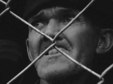 VAI! - Filme sobre a torcida do Corinthians