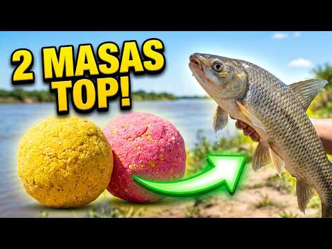 MASAS TOP para PESCA de RIO
