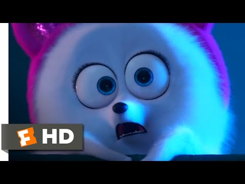 The Secret Life of Pets 2 - Queen Gidget | Fandango Family