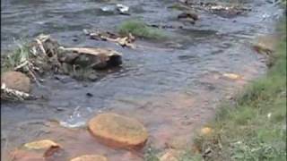 preview picture of video 'Segaran Hot Spring - Probolinggo - East Java'