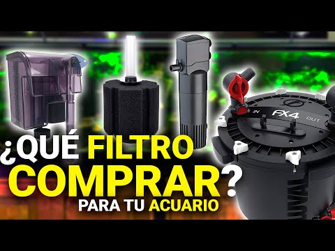 Guía práctica para elegir el filtro perfecto para tu acuario
