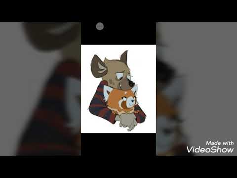 Retsuko x Haida 2 💗💓❤- LOVE