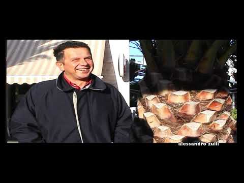 alessandro zulli  Francavilla al mare  Italy
