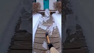 Frozen Cats Trapped in Ice Block 🧊❄️ #rescue #animals