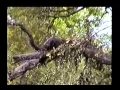 Tanzania Safari Movie Part 2