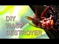 How To Get Rid Of Wasps 