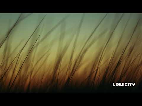 Operator Unknown & Leo Wood - Feel It