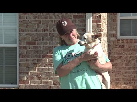 Woof Haven
