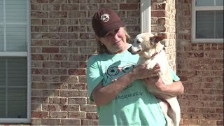 Woofhaven Farm: Old dogs given new lives