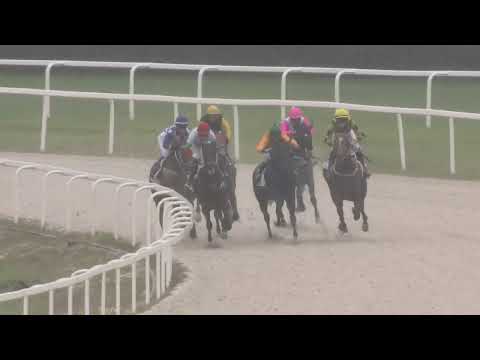 2022.09.25. 06. futam - IN MEMORIAM EMLÉKFUTAM (II.o.) (szintetikus pálya)