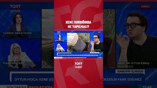 Kene Isırdığında Ne Yapılmalı? Oytun Erbaş Canlı Yayında Açıkladı! #shorts