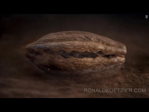 Roshen chocolate bar Commercial
