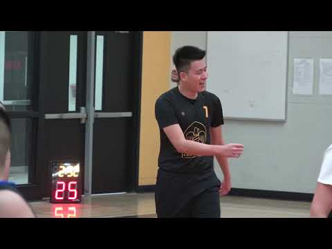 Hometown Hoops vs Nemesis | Saturday tier 3 - tcbl 2020 winter