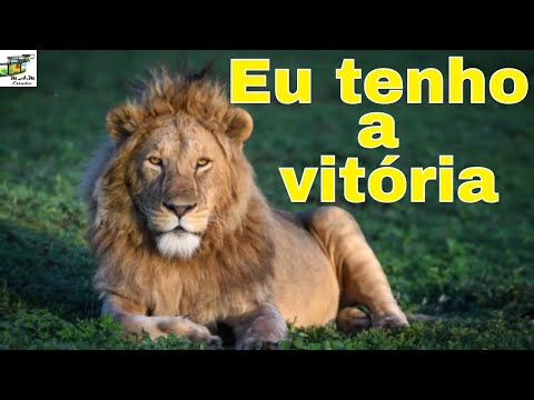 Eu Tenho A Vitória - Tonny Sabetta